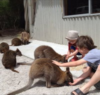 The Patriarch Wildlife Sanctuary Camping Ground - Accommodation Broome
