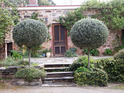 The Heritage Garden - Accommodation Broome 0