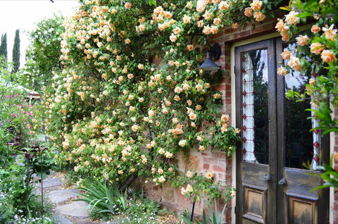 The Heritage Garden - Accommodation Broome 3
