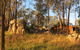 The Woolshed Cabins - thumb 2