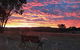 The Woolshed Cabins - thumb 7