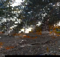 Almerta Station - Accommodation Broome