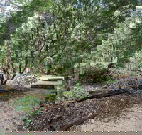 Eungella National Park camping - Accommodation Broome