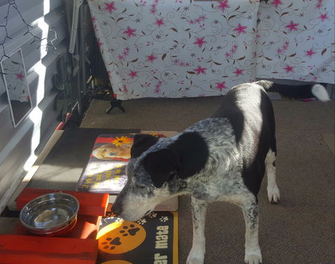 Meeniyan Motel And Bike Hire - Accommodation Broome 2