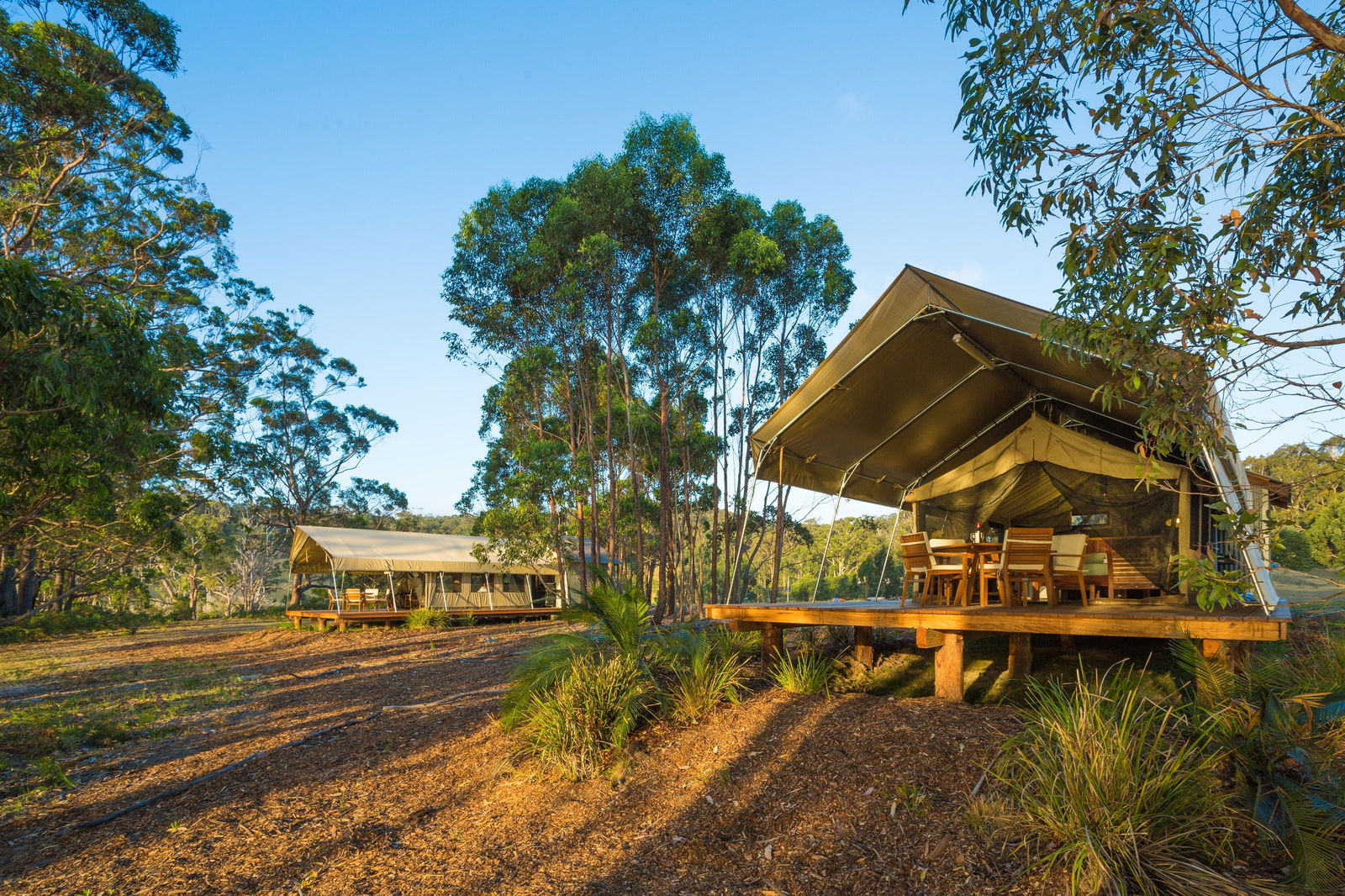 Coopers Gully NSW Accommodation Broome