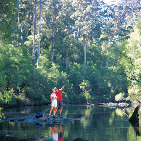 Warren Camp At Warren National Park - Accommodation Broome 2