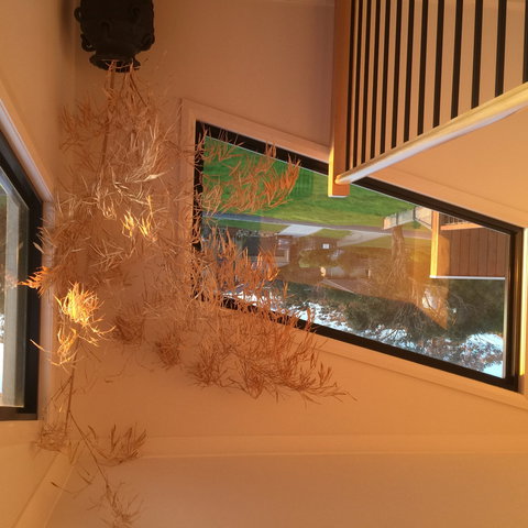 Barefoot Beach Stays - Accommodation Broome 1