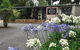 Blackheath Motor Inn - thumb 0