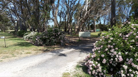 Camawald Coonawarra Cottage B&B - Accommodation Broome 0