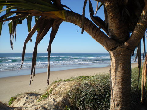 Horizons At Peregian - Accommodation Broome 0