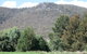 Jessica's Guest House And Vineyard - thumb 0