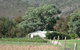Jessica's Guest House And Vineyard - thumb 2
