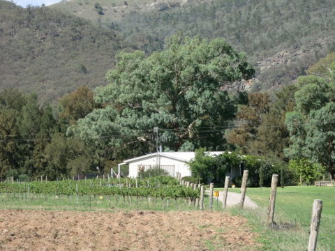 Jessica's Guest House And Vineyard - Accommodation Broome 2