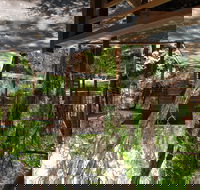 Melaleuca Surfside Backpackers - Accommodation Broome