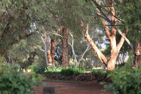 Outback Cellar Dubbo - Accommodation Broome 2