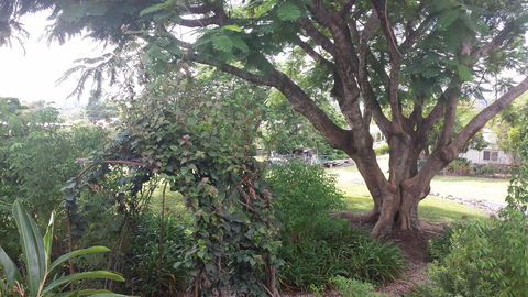 Rosehill Apartments - Accommodation Broome 2
