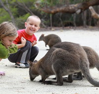 The Patriarch Wildlife Sanctuary Camping Ground - Accommodation Broome