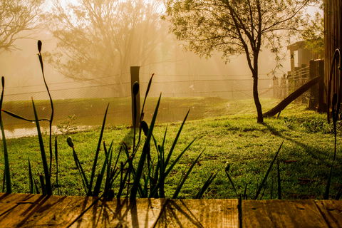 Tobruk Sydney Farm Stay - Accommodation Broome 1