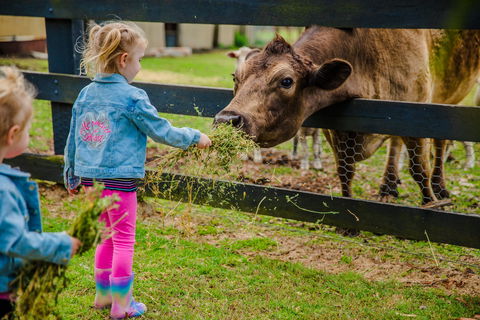 Tobruk Sydney Farm Stay - Accommodation Broome 2