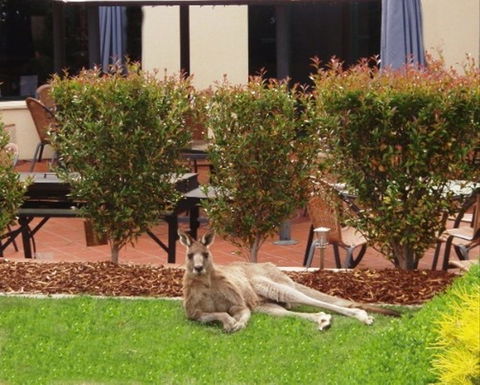 Alpha Canberra Hotel - Accommodation Broome 0