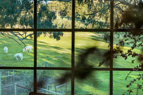 Australia Suite - Accommodation Broome 1