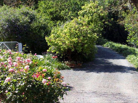 Brown's House Bed & Breakfast - Accommodation Broome 2