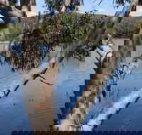 Bumberry Dam - Accommodation Broome