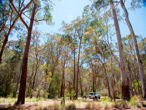 Coolah Tops National Park Camping - Accommodation Broome 0
