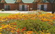Jamestown Country Retreat Caravan Park - thumb 1