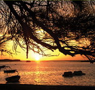 Pelican's Nest - Accommodation Broome