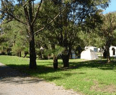 Rockingham Holiday Village - Accommodation Broome 4