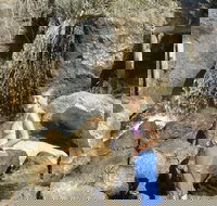 Misty Valley Country Cottages - Accommodation Broome
