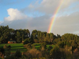 Pemberton Lavender And Berry Farm Cafe And Cottages - Accommodation Broome 3