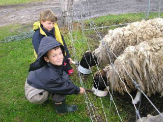 Meerup Springs Farmstay - Accommodation Broome 3