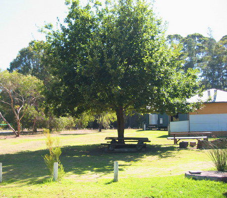 Pemberton Forest Stay - Accommodation Broome 3