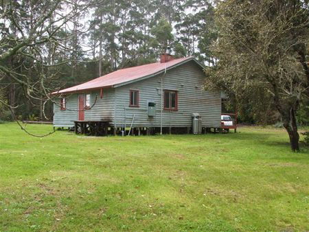 Pemberton Forest Stay - Accommodation Broome 5