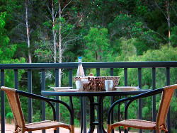 Peppermint Grove Retreat - Accommodation Broome 2