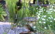 Glenhaven Bed And Breakfast - thumb 1