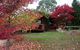 Eucalyptus House - thumb 0