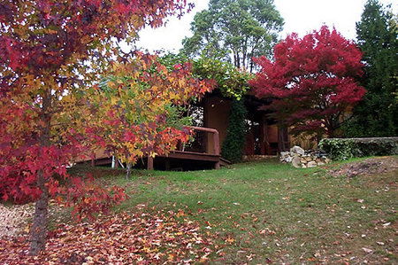 Eucalyptus House - Accommodation Broome 0