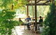 Eucalyptus House - thumb 2