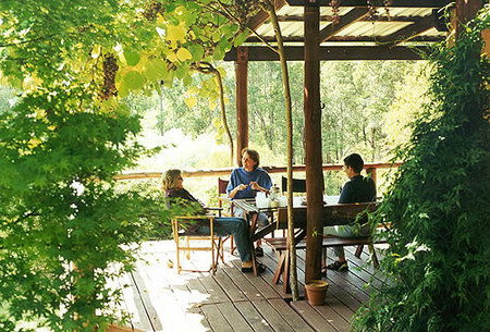 Eucalyptus House - Accommodation Broome 2