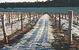 Treen Ridge Vineyard Accommodation - thumb 1