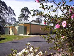 Bega Caravan Park - Accommodation Broome 5