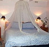 Bondi Beach Garden Sweet - Accommodation Broome