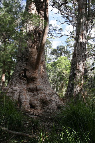Bow Bridge WA Accommodation Broome