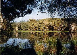 Bush Haven - Accommodation Broome 3