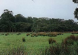 Bush Haven - Accommodation Broome 4
