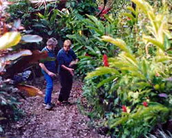 Milkwood Lodge - Accommodation Broome 1