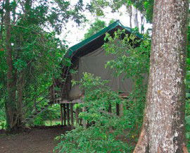 Lions Den Hotel - Accommodation Broome 4
